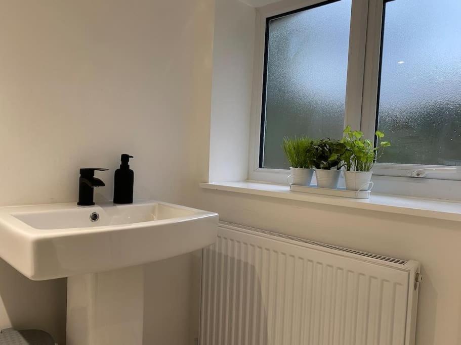 Modern 2 Bedroom Cottage Near Bike Park Wales. 머티르티드필 외부 사진